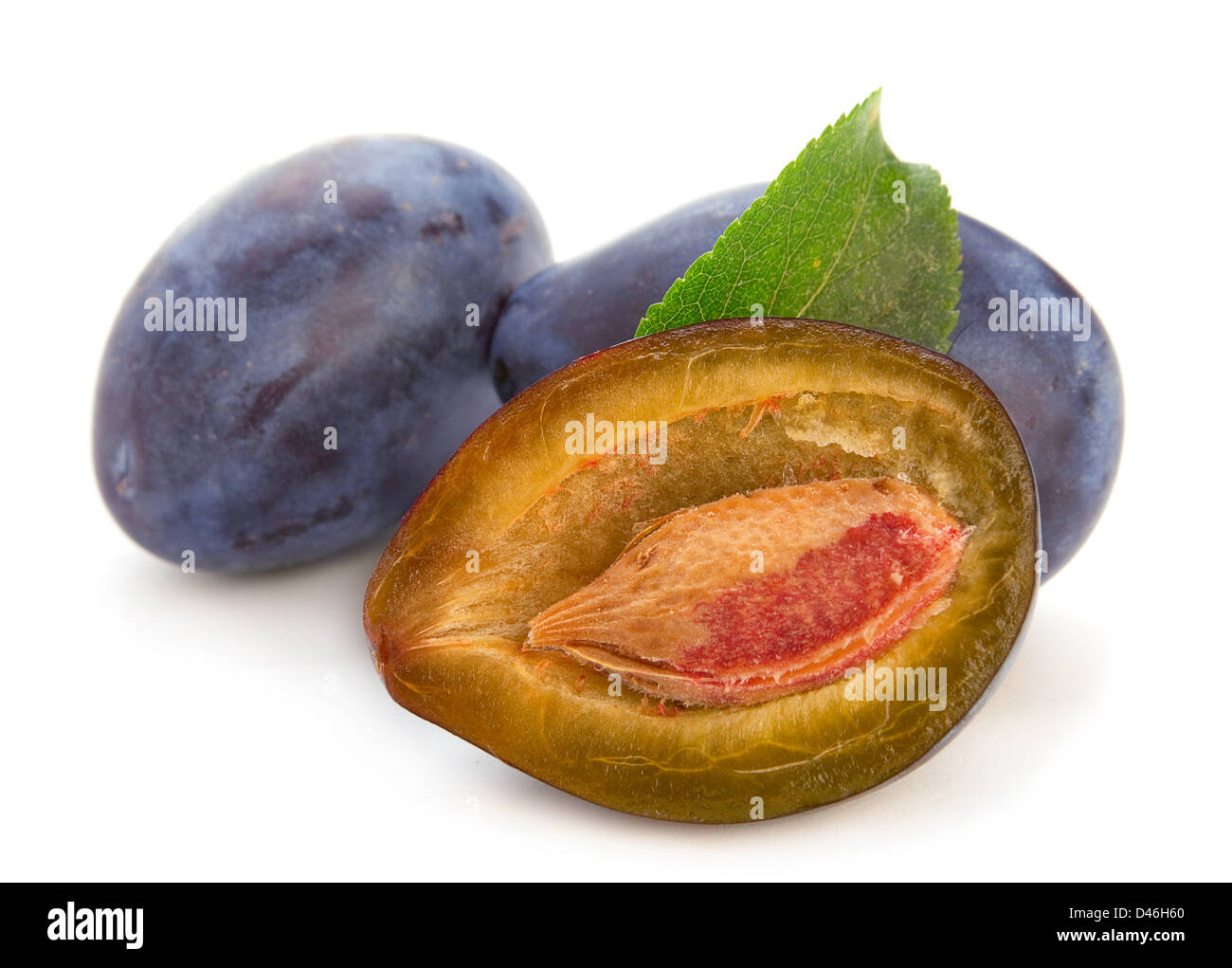 Prune isolé sur fond blanc Banque D'Images
