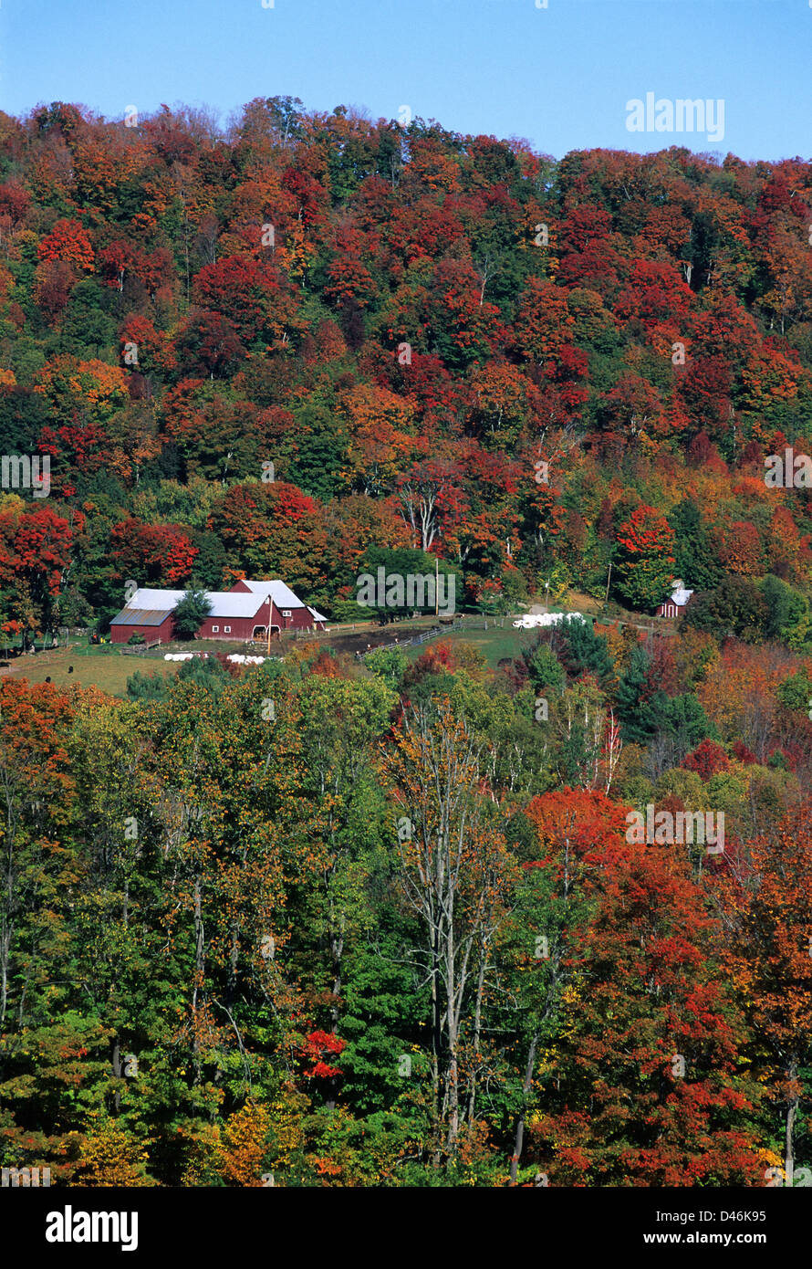 Elk280-1254v New York, castagnole, campagne avec feuillage d'automne Banque D'Images