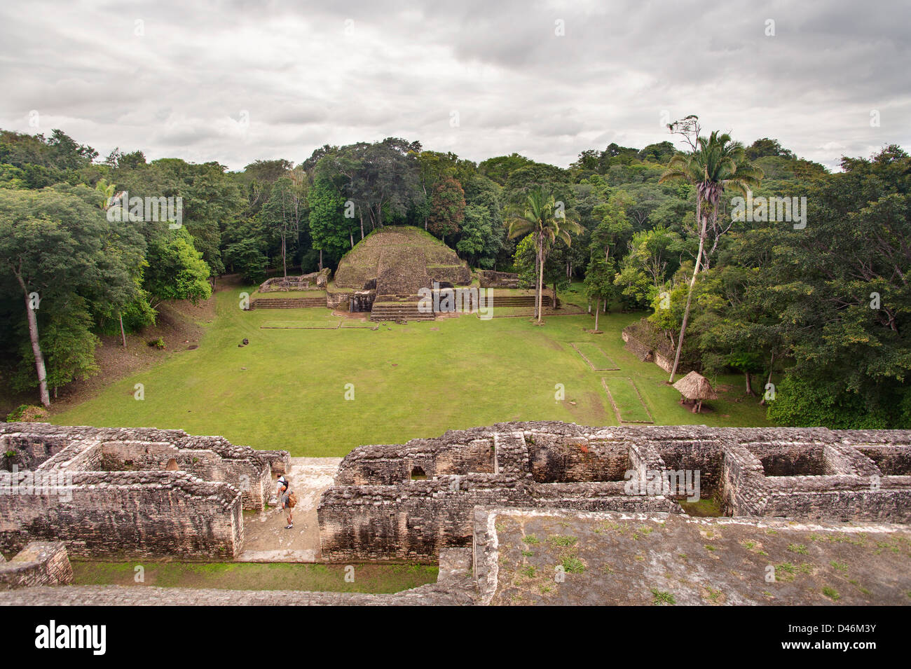 Ruines mayas Caracol, Belize Banque D'Images