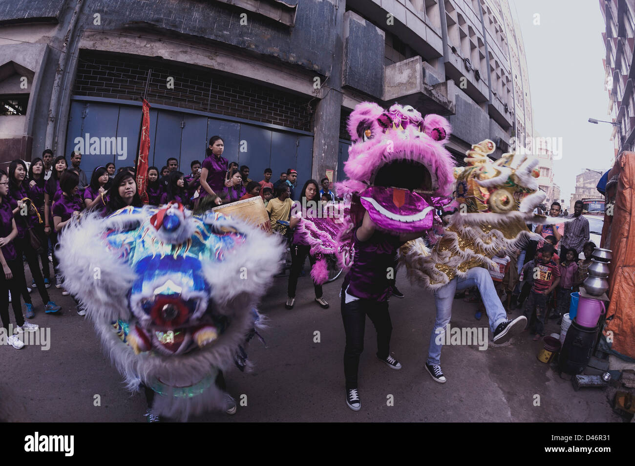 Dragon de mer. Banque D'Images
