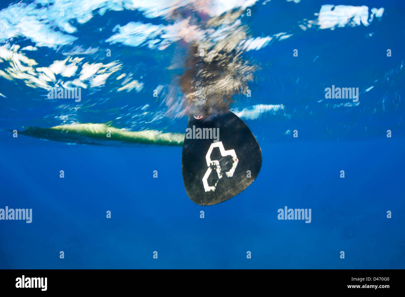 Vue sous-marine d'une femme sur un stand-up paddle board au large de Maui, Hawaii. Banque D'Images