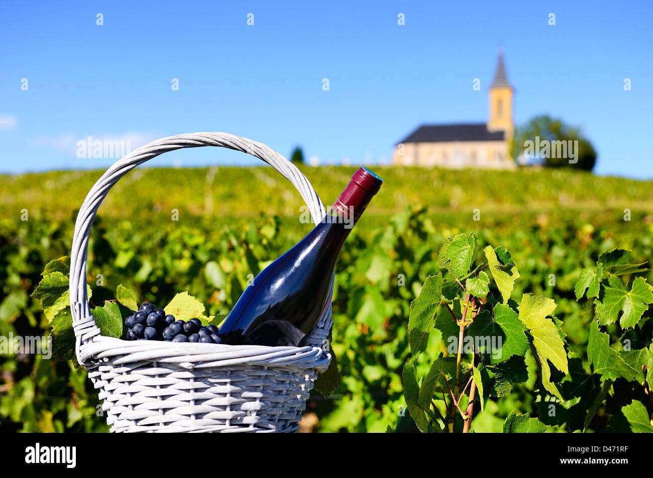 Bouteille de vin rouge dans un panier de raisons près d'une église typique Banque D'Images