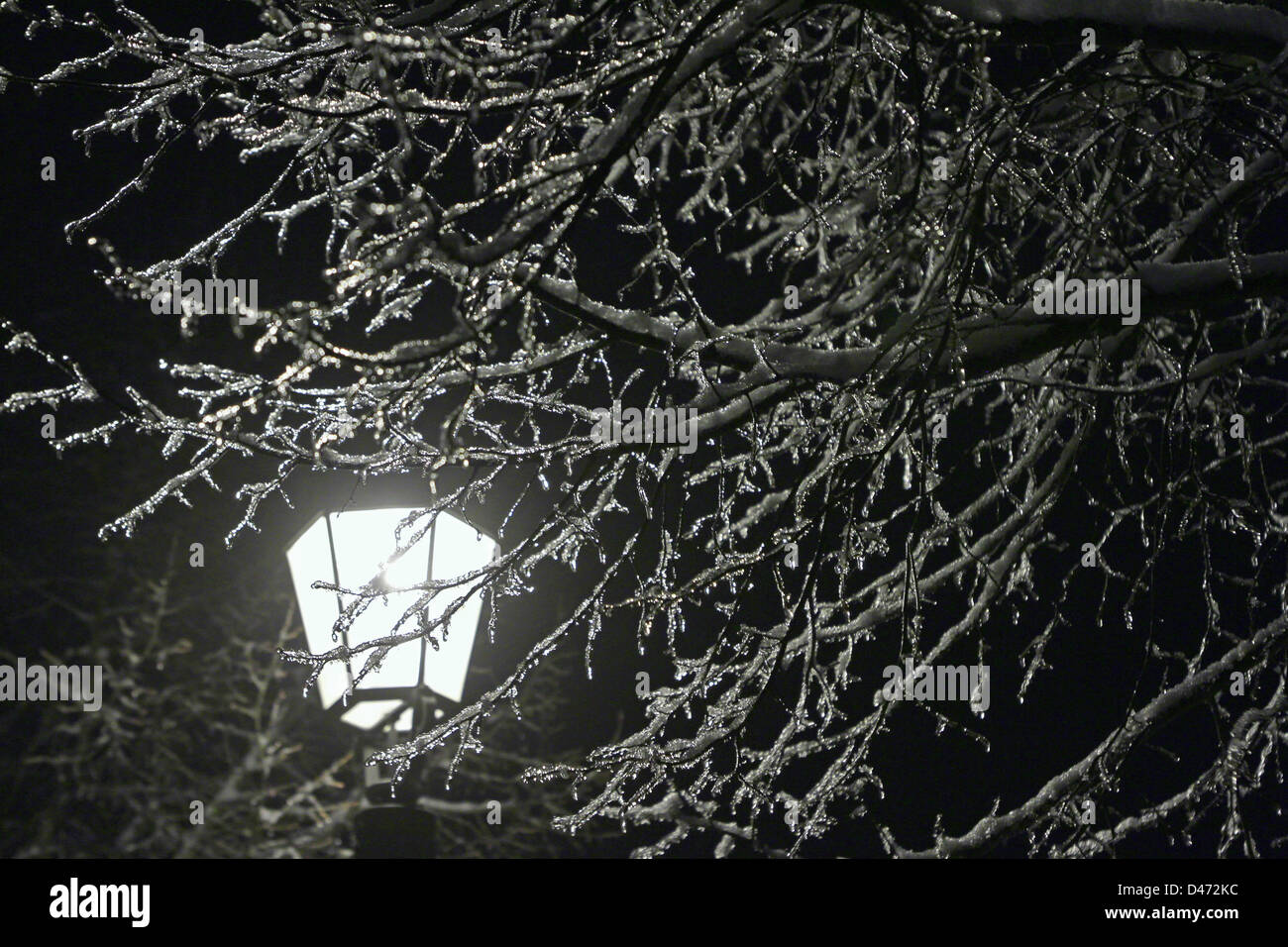 Une lanterne éclaire les branches d'un arbre couvert de glace sur le sol du palais de Ballenstedt, Allemagne, 27 février 2013. Photo : Matthias Bein Banque D'Images