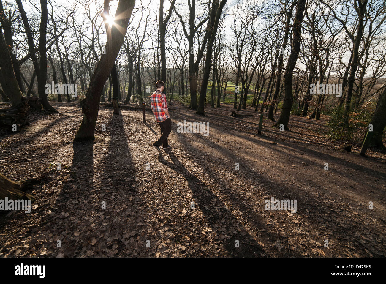 L'homme dans une chemise à carreaux rouge avec son nouveau à nous de marcher dans la forêt à travers les arbres de l'ombre depuis longtemps avec le soleil derrière les arbres. Banque D'Images