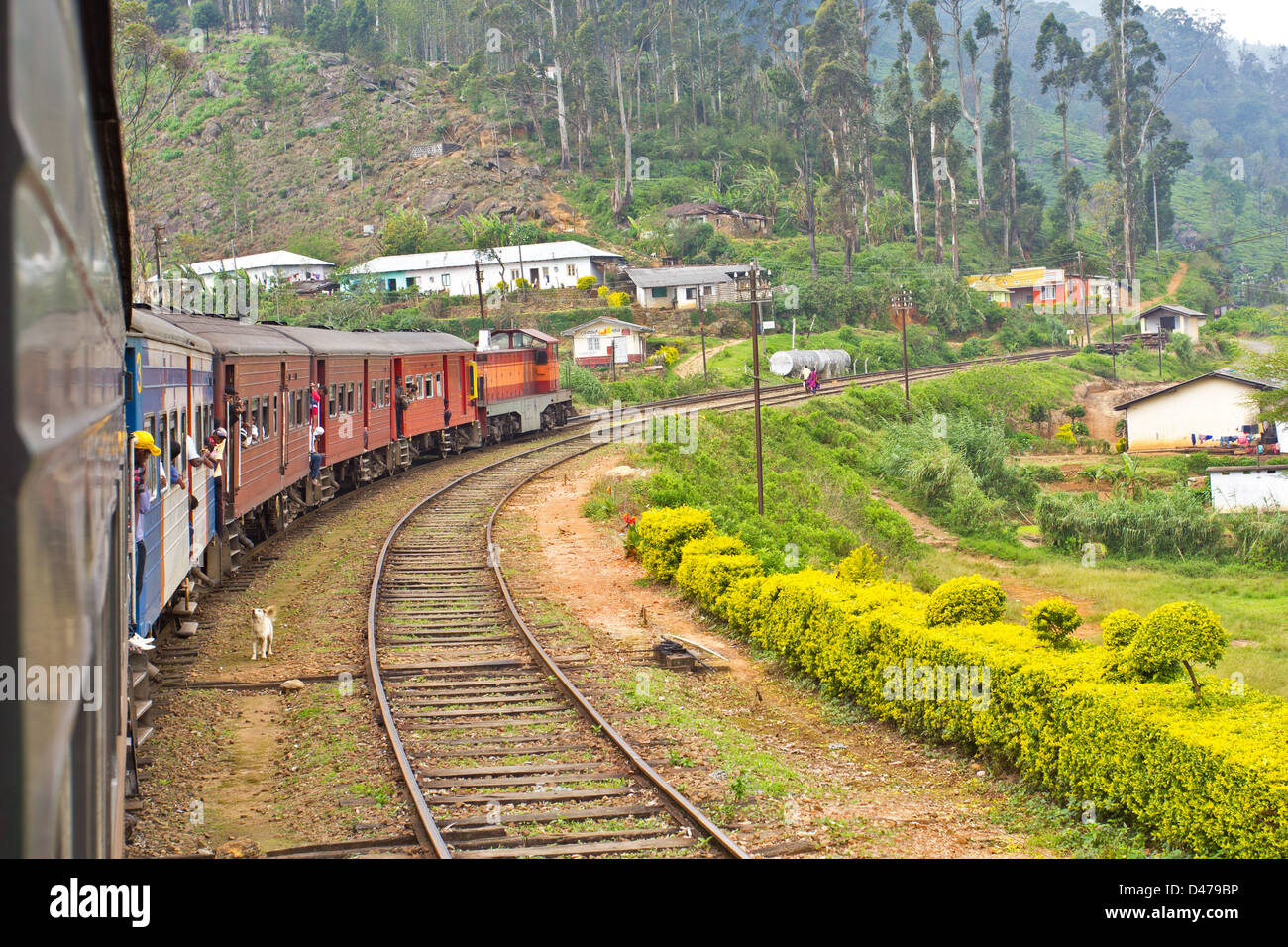 Attendre LES CHIENS SUR LES VOIES D'ÊTRE NOURRI DES TRAINS AU SRI LANKA Banque D'Images