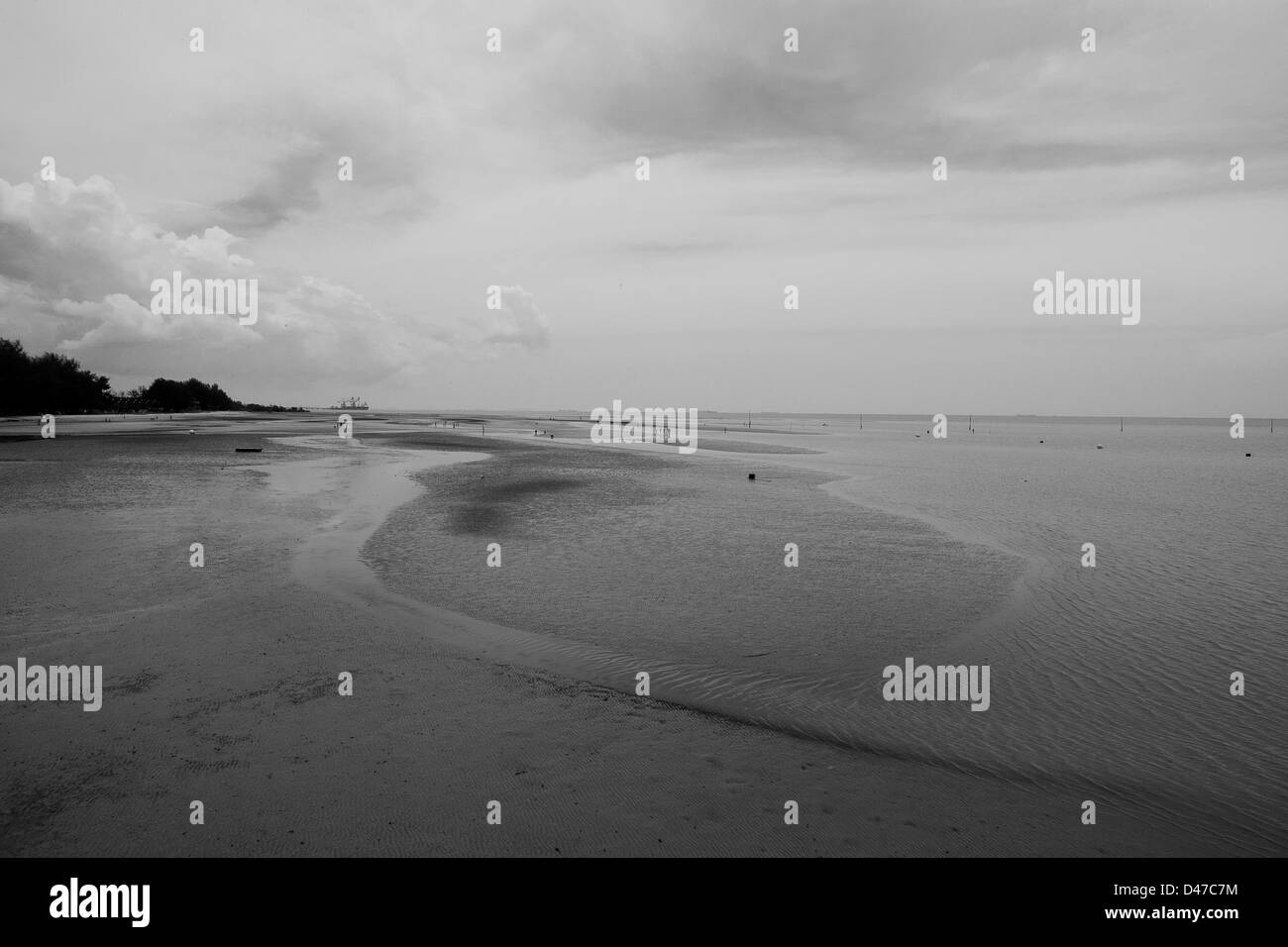 Vaste pays par le côté plage Banque D'Images