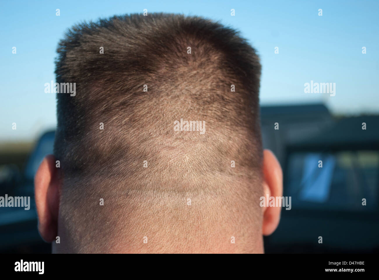 Coupe de cheveux coiffure Banque D'Images