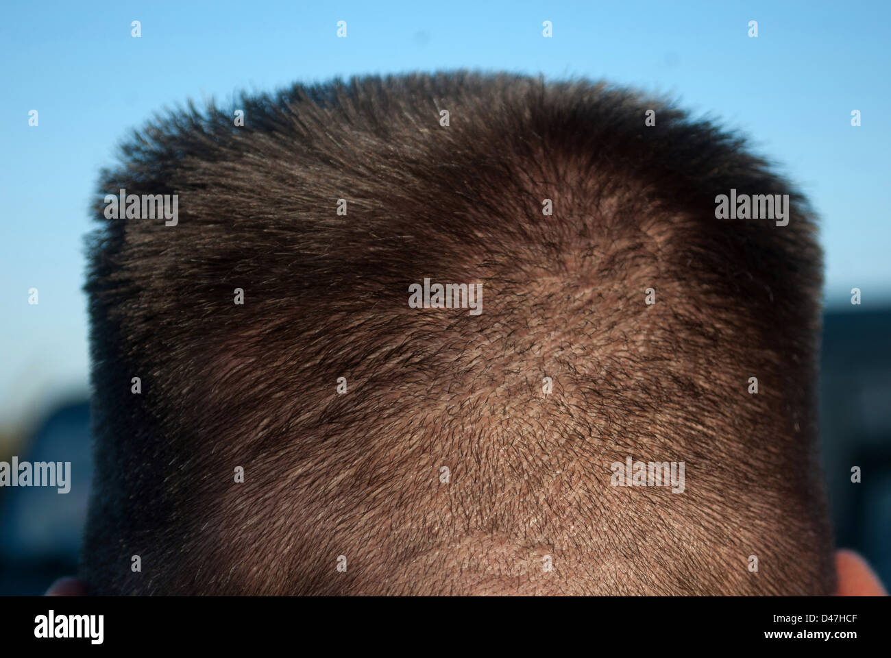 Coupe de cheveux coiffure Banque D'Images