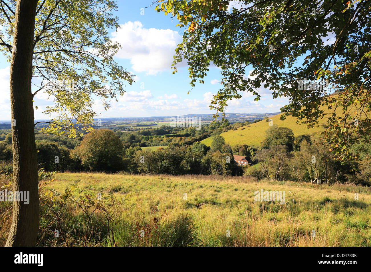 Vue sur la campagne du North Downs Way, près de Wye, Ashford, Kent, England, UK dans le SE Banque D'Images