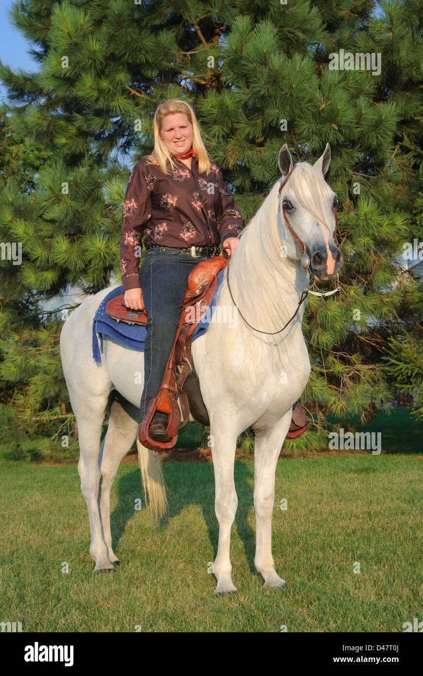 Femme l'équitation de soir lumière d'été, vue latérale présentent encore avec un cheval arabe blanc. Banque D'Images