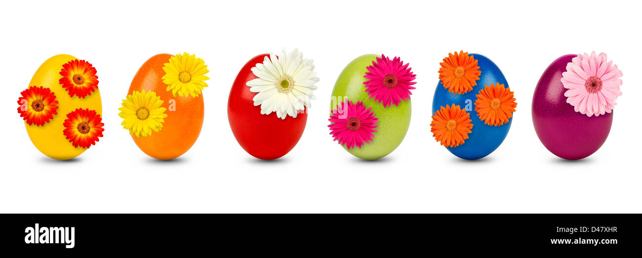 Ligne auf les oeufs de Pâques colorés décorés de fleurs gerbera Banque D'Images