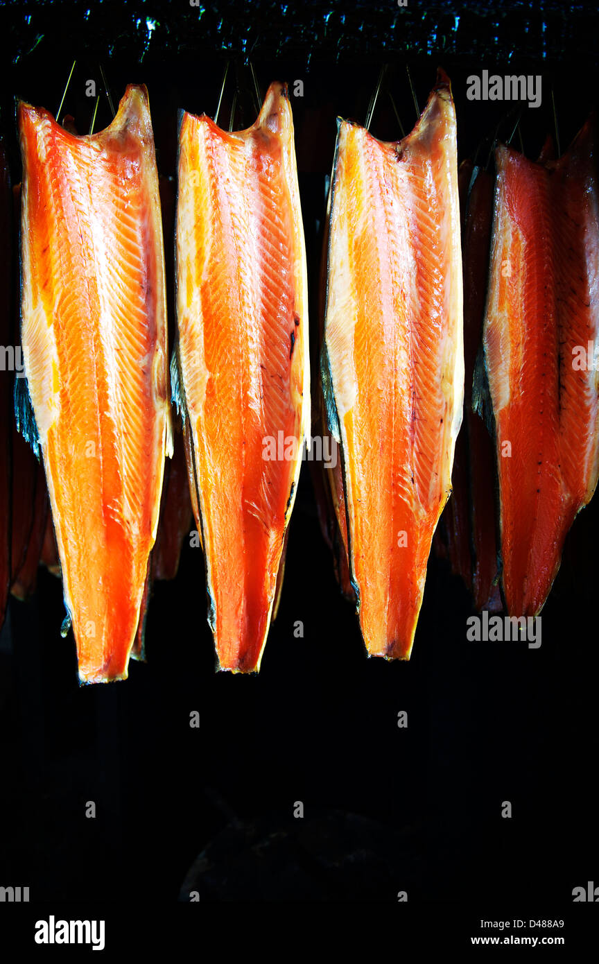 Rangées de pendaison du saumon dans le fumoir à Pinneys Banque D'Images