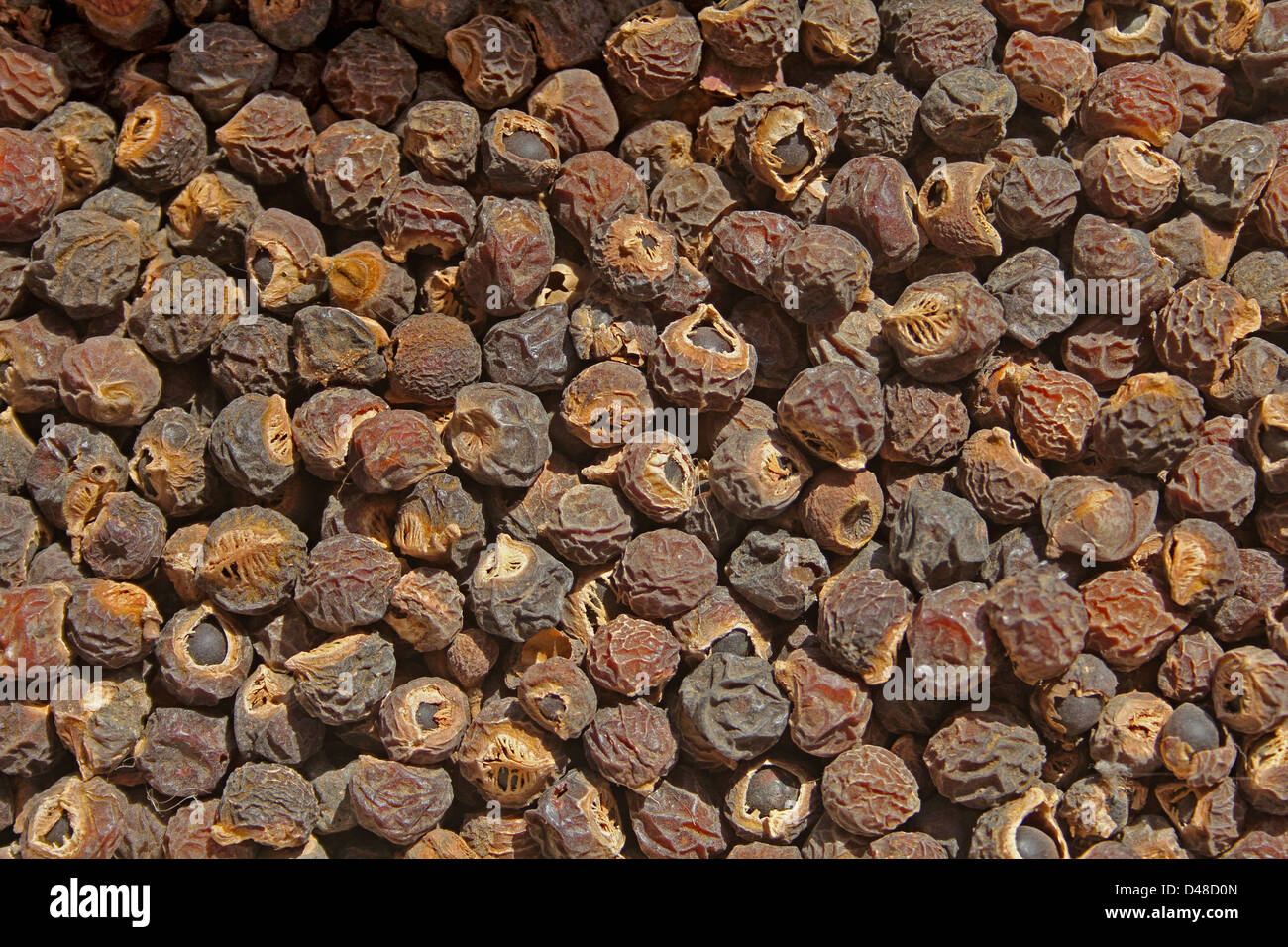 Graines de Reetha, chinois, la shépherdie du Canada du nord de l'Inde, soapnut lave-écrous, Sapindus mukorossi, Inde Banque D'Images Graines de Reetha, chinois, la shépherdie du Canada du nord de l'Inde, soapnut lave-écrous, Sapindus mukorossi, Inde Banque D'Images