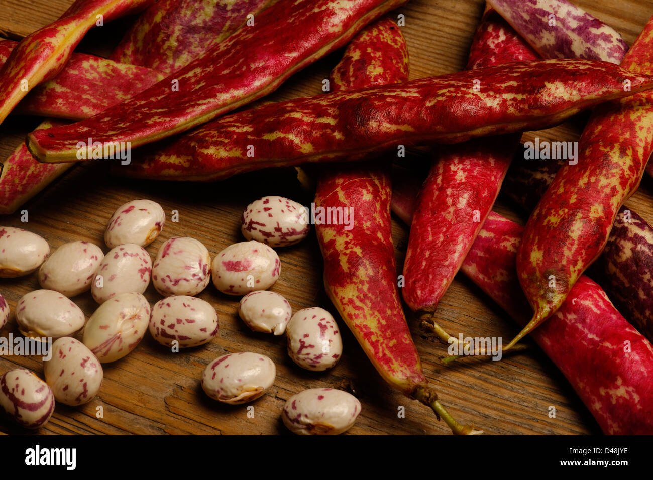 Les haricots borlotti biologiques issus de chez nous au Royaume-Uni Banque D'Images