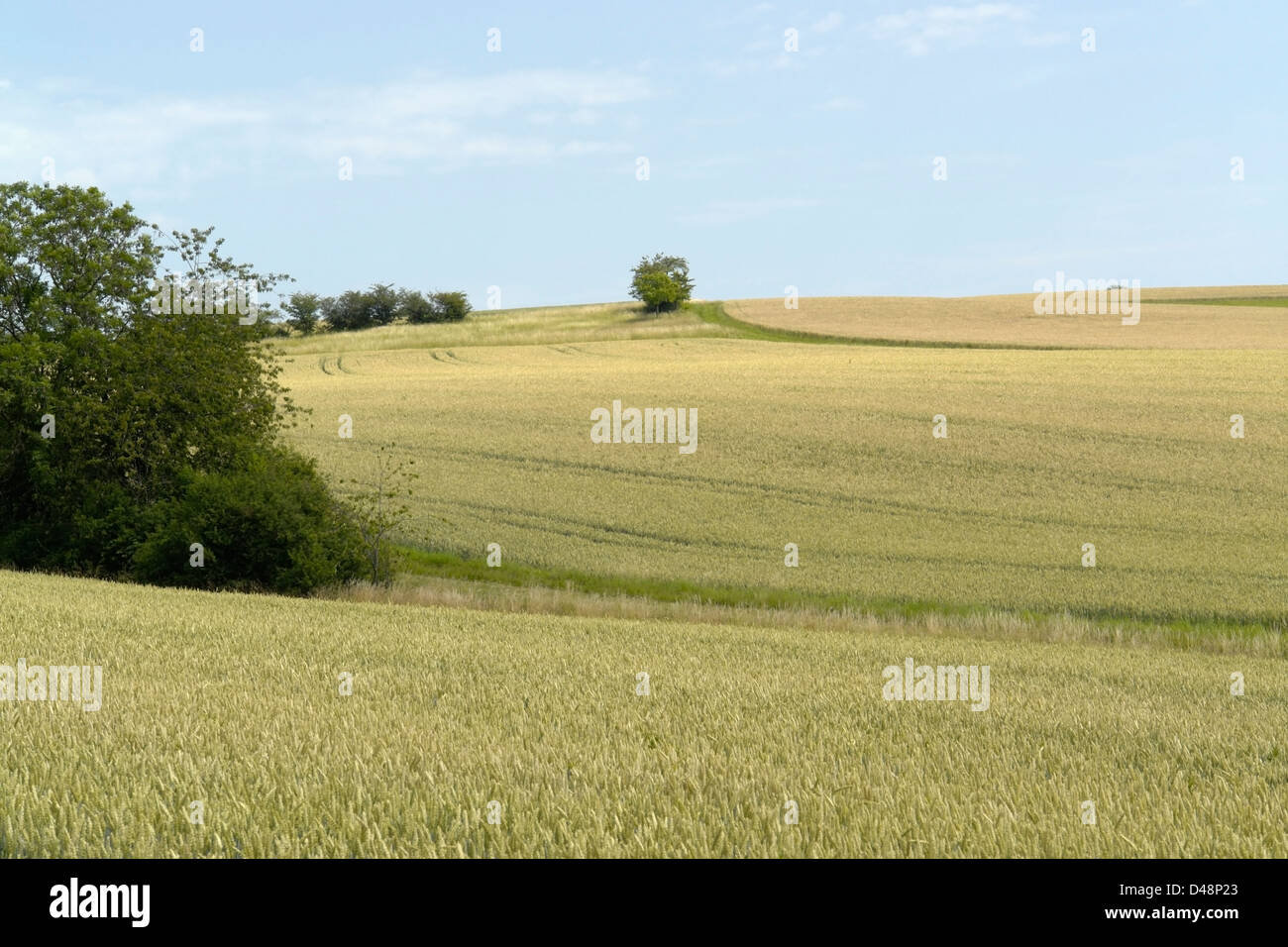 Paysage rural idyllique et vue panoramique dans Hohenlohe, un salon dans le sud de l'Allemagne, à l'heure d'été Banque D'Images