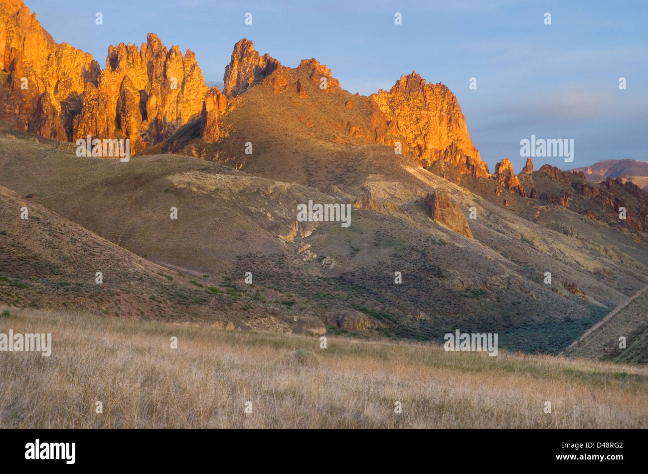 Flèches et rock formations faite de tuf volcanique dans Leslie Gulch dans l'Owyhee Uplands de l'Oregon SE Banque D'Images