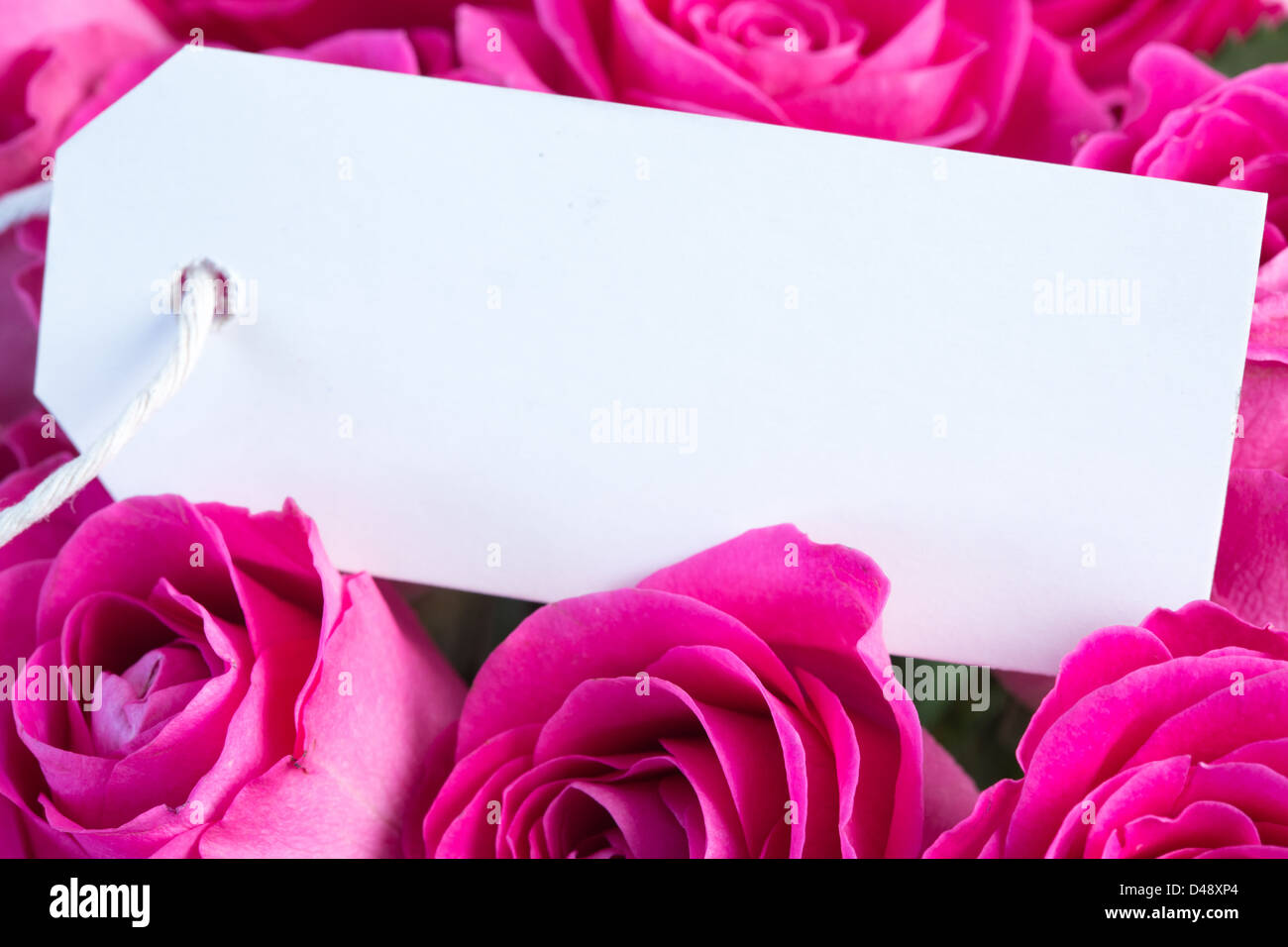 Bouquet de roses roses avec une carte vide Banque D'Images