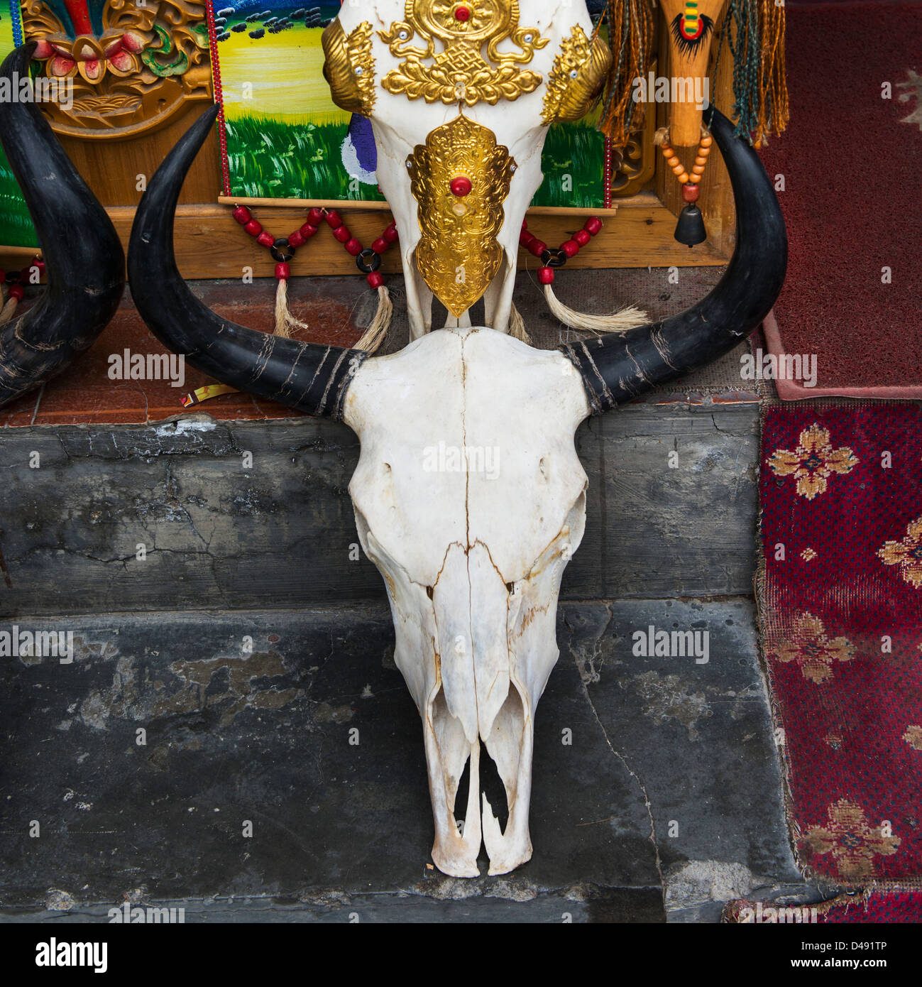 Crâne d'une tête d'animal sur une étape;Lhasa xizang china Banque D'Images