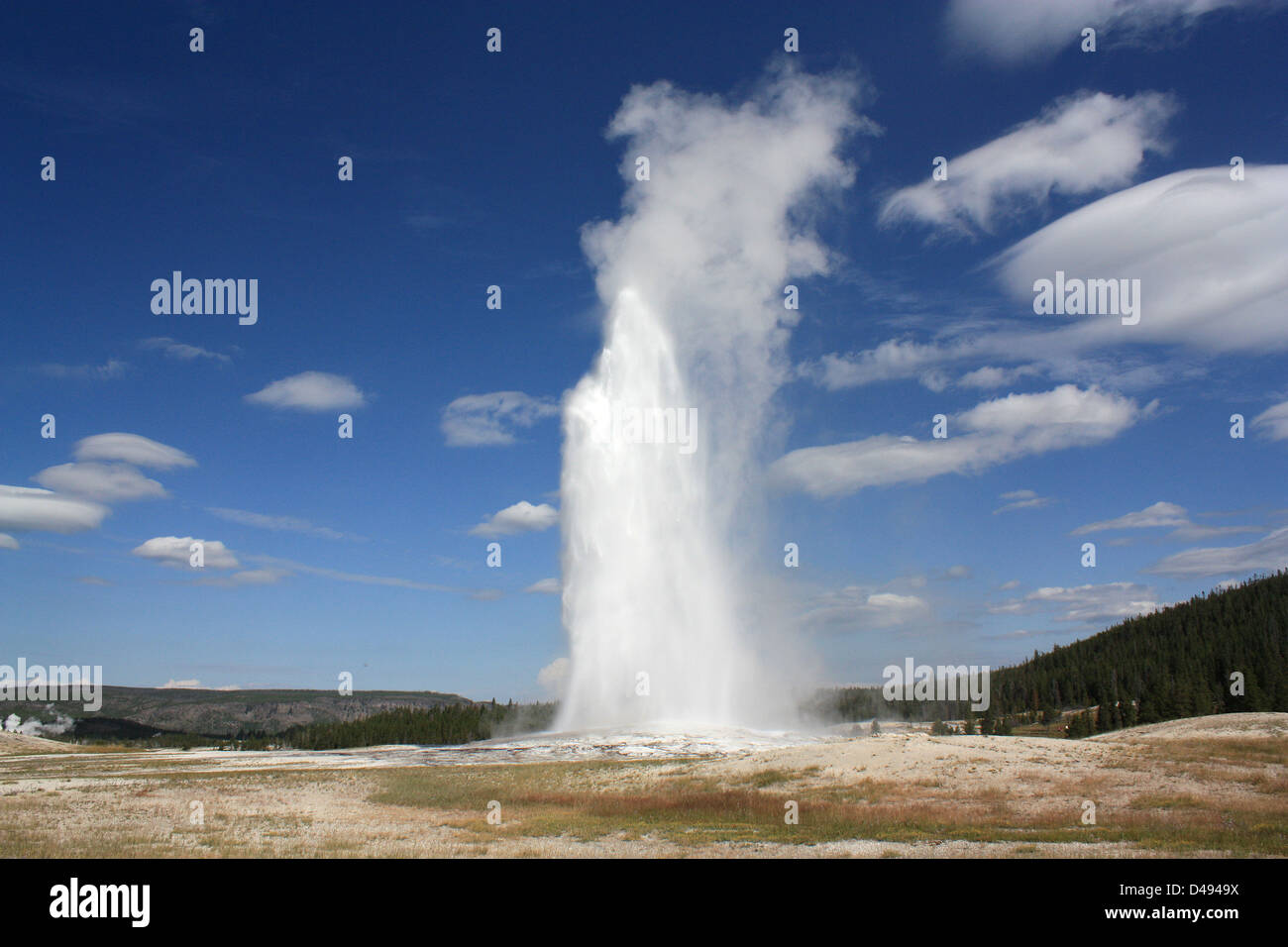 Old Faithful Geyser, Wyoming, Yellowstone National Park, États-Unis Banque D'Images