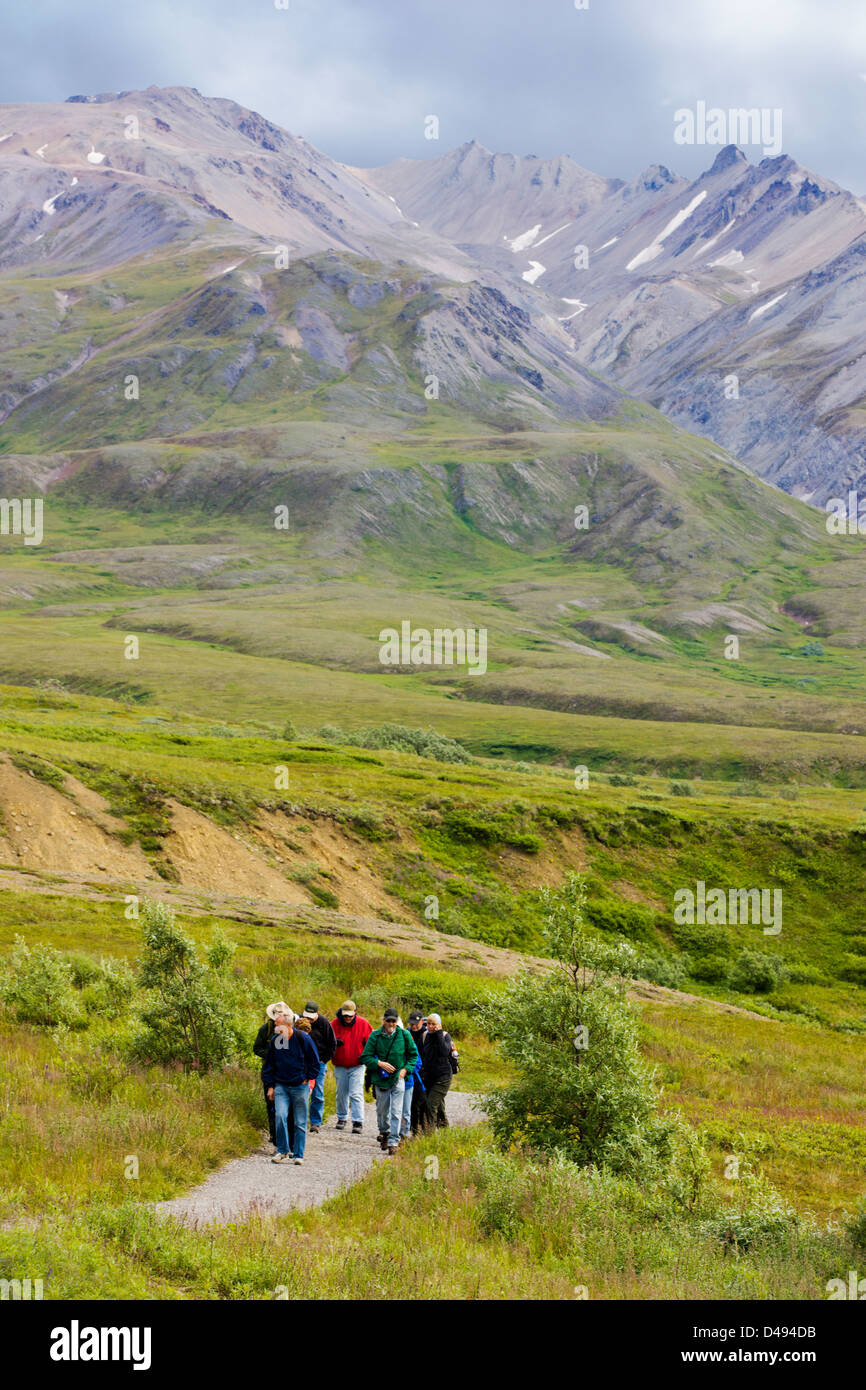 Les randonneurs et voir au sud de l'Alaska, Eielson Visitor Center, le parc national Denali, Alaska, USA Banque D'Images