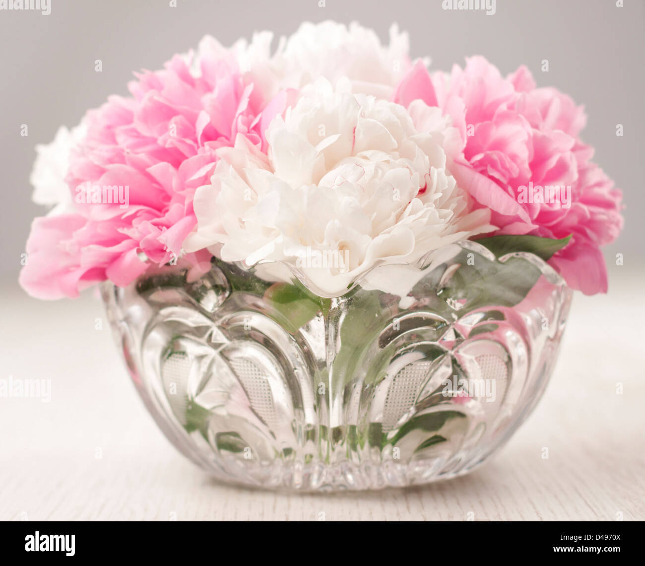 Beau vase de fleurs de pivoine Banque D'Images