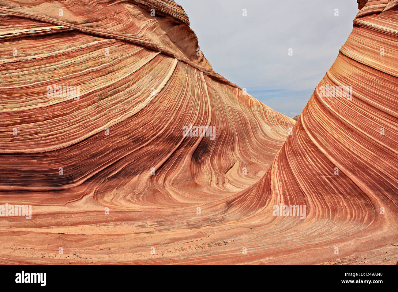 La Vague, Coyote Buttes dans Paria Canyon-Vermillion cliffs wilderness, Arizona, United States,house rock valley road, United States Banque D'Images