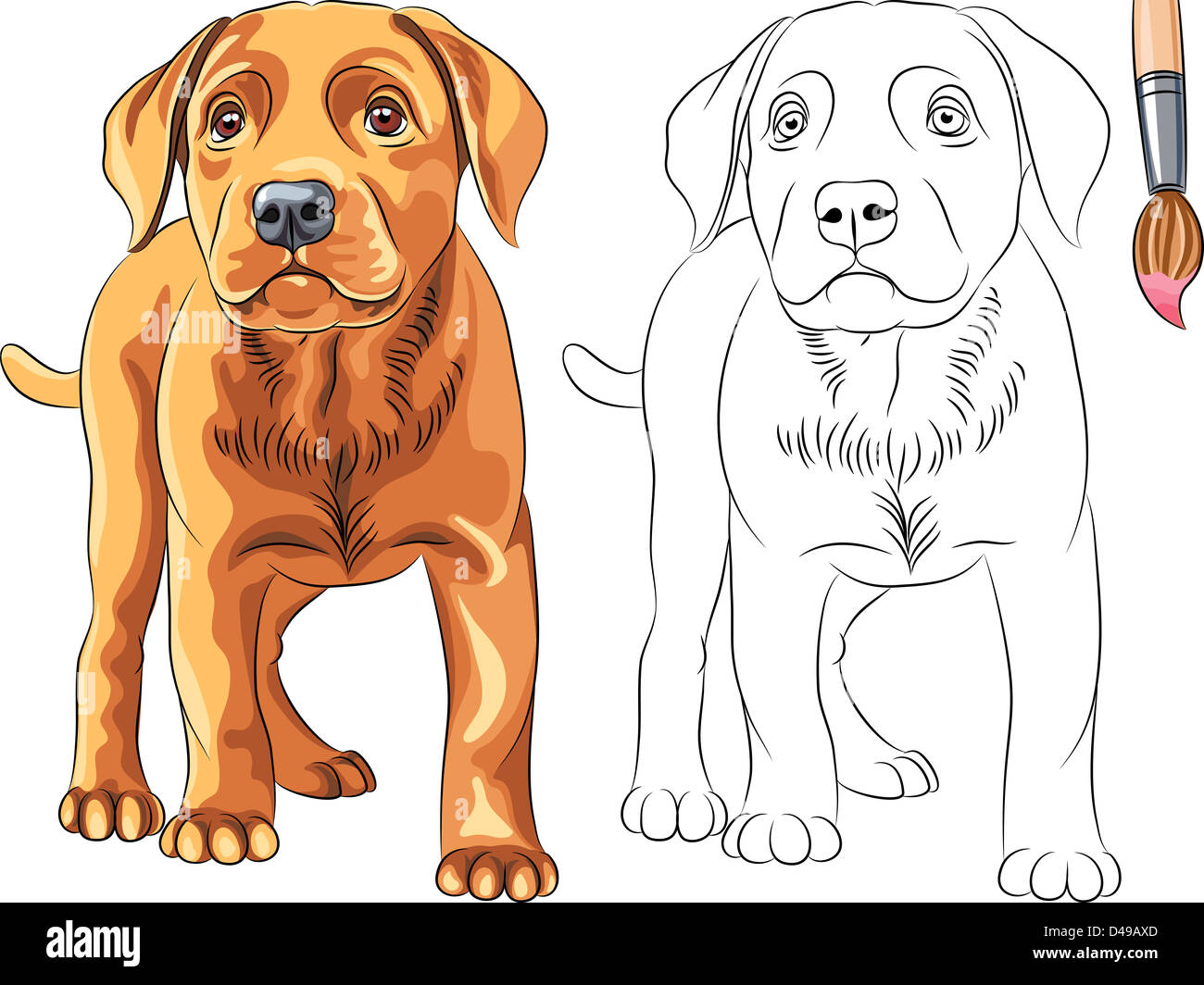 Livre de coloriage pour les enfants de scénario drôle de chien chiot grave Labrador Retriever breed Banque D'Images