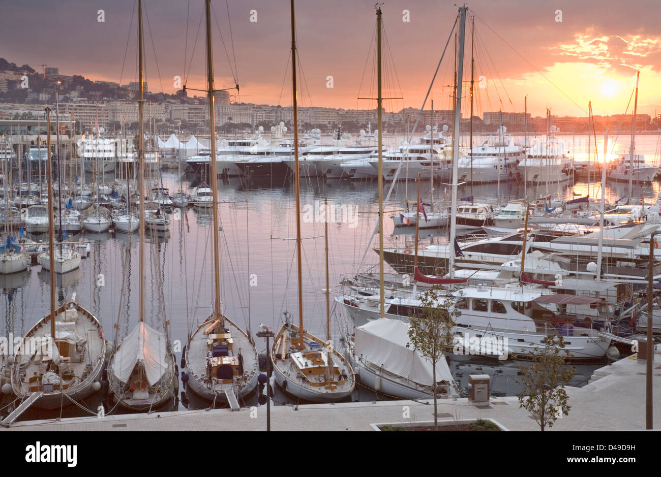 Yachts et voiliers du vieux port harbour, Cannes, France Banque D'Images