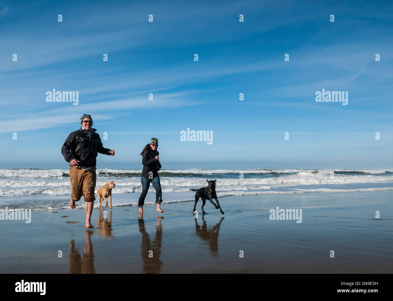 Jeune couple adulte et chiens courant sur la plage dans l'Oregon Dunes National Recreation Area. Banque D'Images