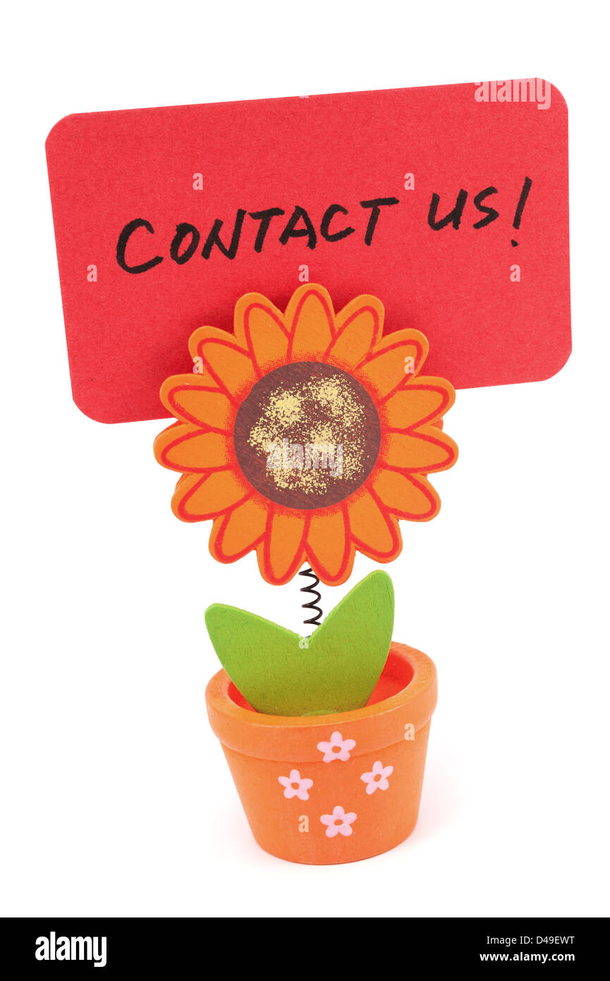 Contactez-nous mots écrits sur papier rouge de sun flower pot clip Banque D'Images