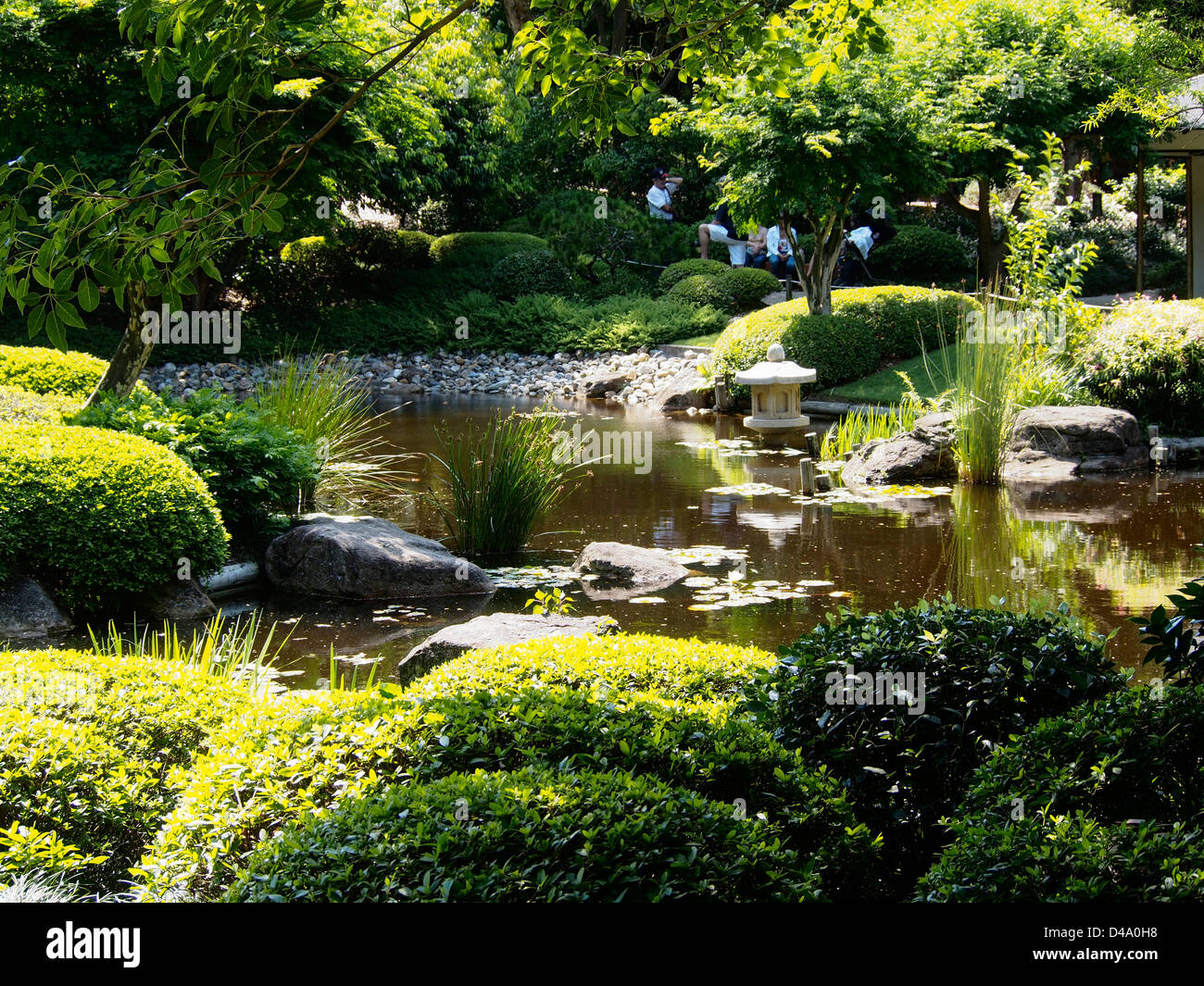 JARDIN JAPANEESE MOUNT COOT-THA BOTANICAL GARDENS BRISBANE QUEENSLAND AUSTRALIE Banque D'Images