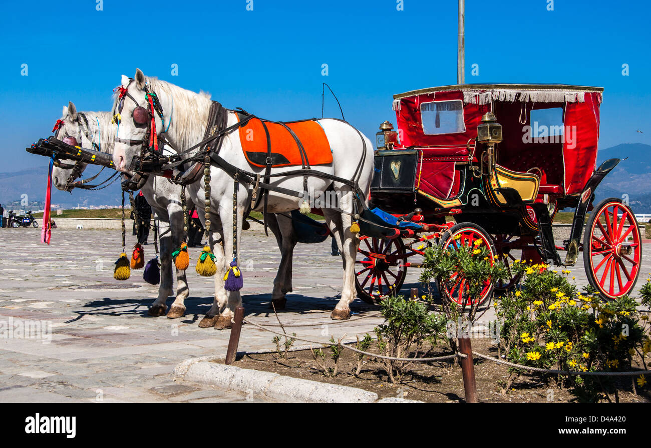 Izmir, Turquie : un cheval panier sur route en attente de touristes Banque D'Images