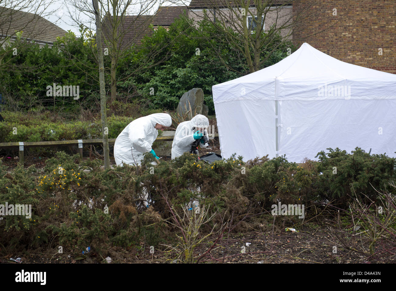 Grays, Essex. 10 mars, 2013. Appel à témoins de la police après l'homme de 35 ans a été agressé dans les premières heures de ce matin en Grays, Essex. Plus tard, il est décédé de ses blessures à l'hôpital de Queens à Romford. Des scènes d'agents de se rendre sur les lieux du crime pour recueillir des preuves médico-légales. Banque D'Images