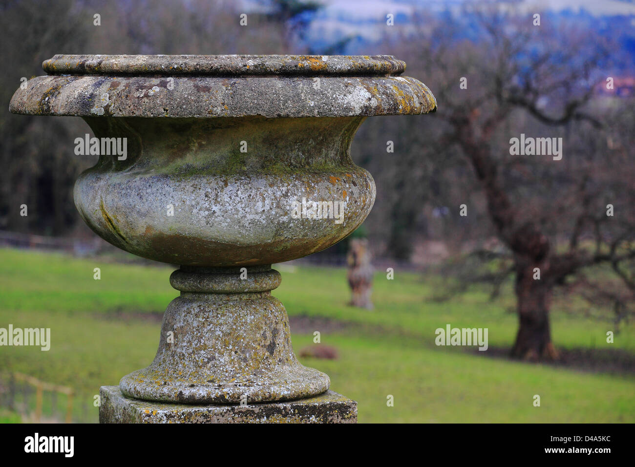 Pot de fleurs à Gatton Park, Surrey, Angleterre Banque D'Images