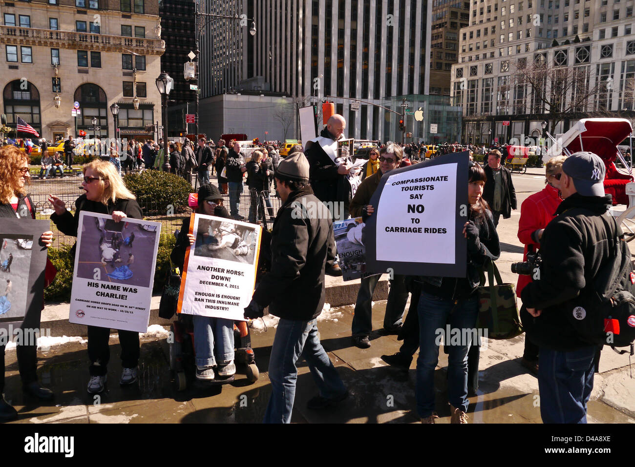 New York City, USA. 9 mars, 2013. Les manifestants à lancer un appel à l'interdiction du Parc Central calèches 9 mars 2013 à New York. (Photo de Donald Bowers/Alamy Live News) Banque D'Images