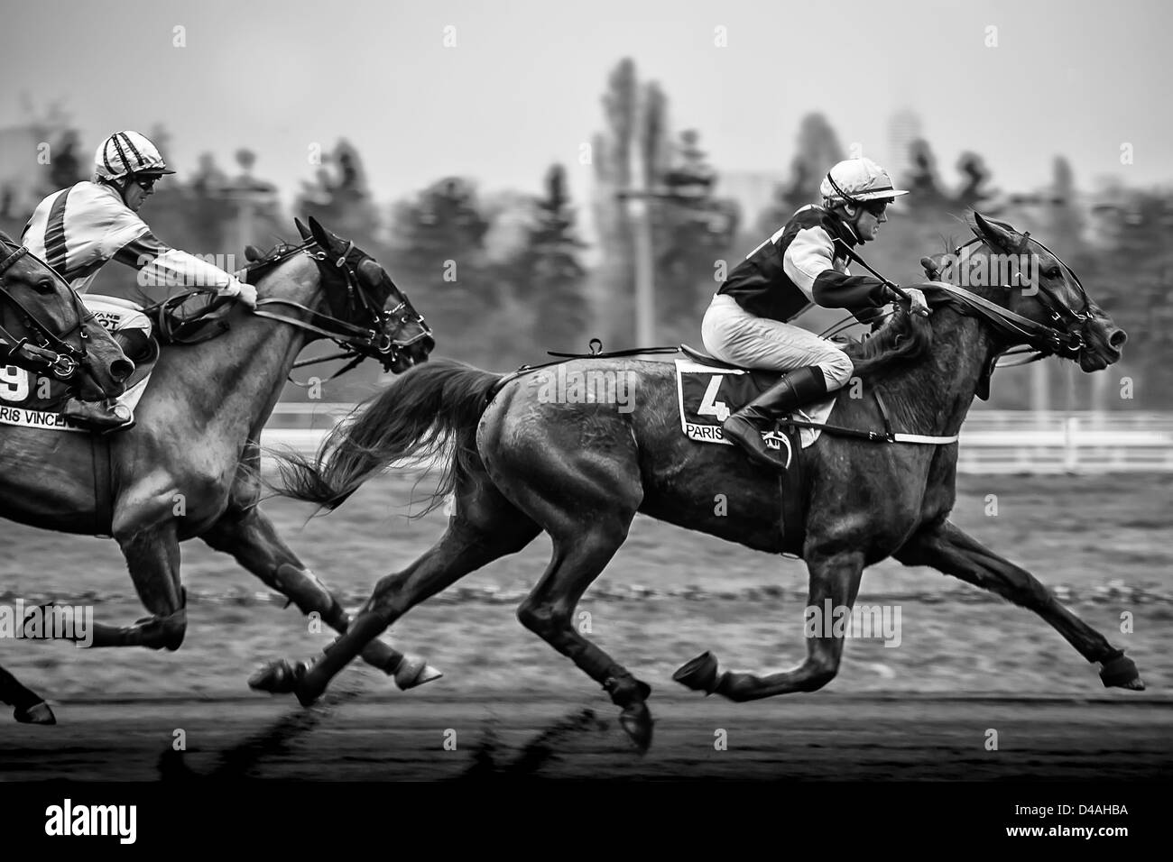 Chevaux de course à l'hippodrome Banque D'Images