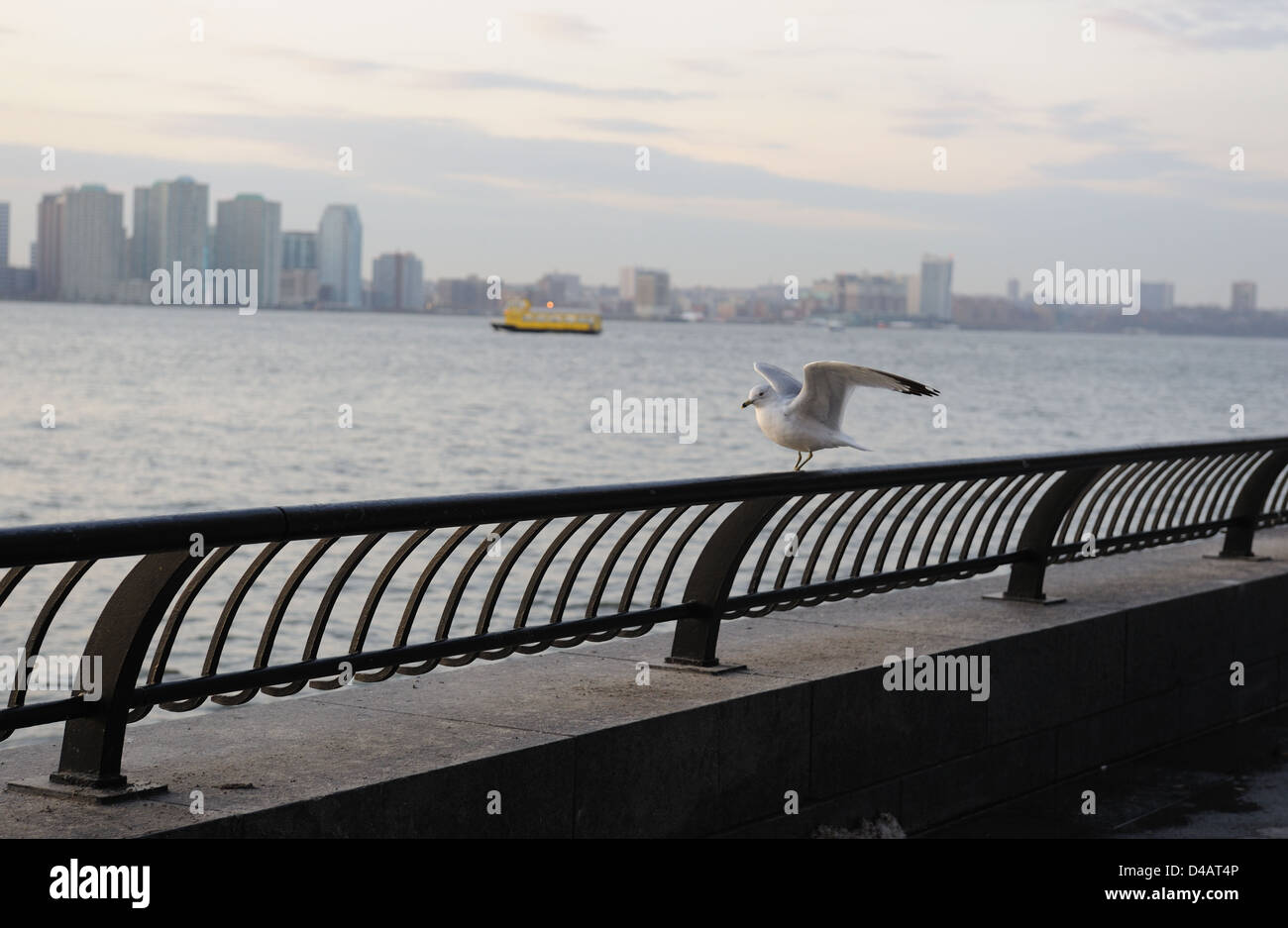 La rivière Hudson et de Jersey City, vu de Battery Park City. 10 mars, 2013 Banque D'Images