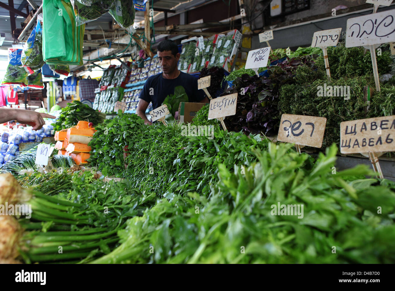 Bloquer la vente des herbes fraîches et des verts a photographié à la marché de Carmel, Tel Aviv, Israël Banque D'Images
