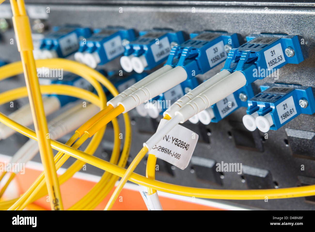 Server avec des câbles à fibres optiques dans le centre de données Banque D'Images