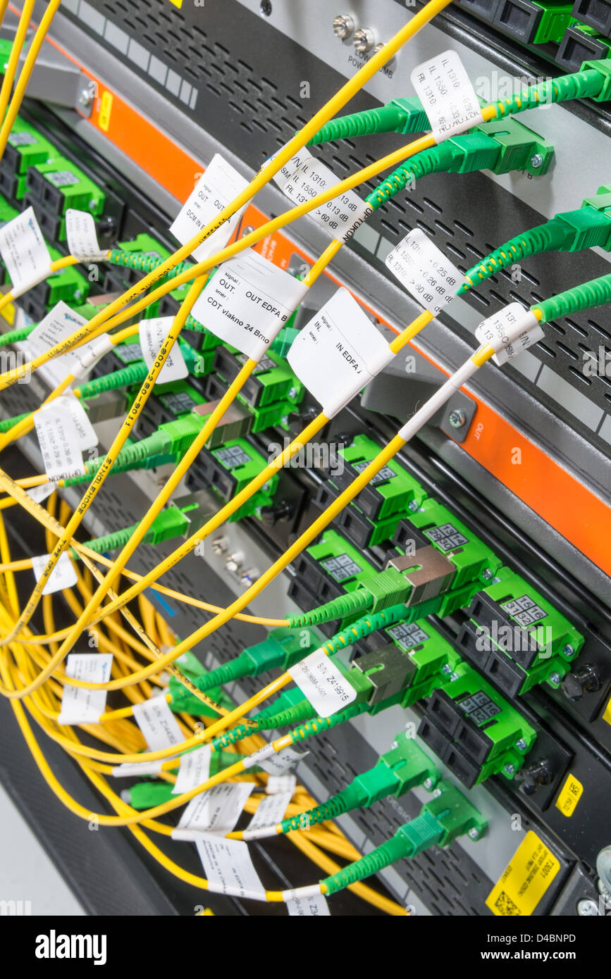 Server avec des câbles à fibres optiques dans le centre de données Banque D'Images