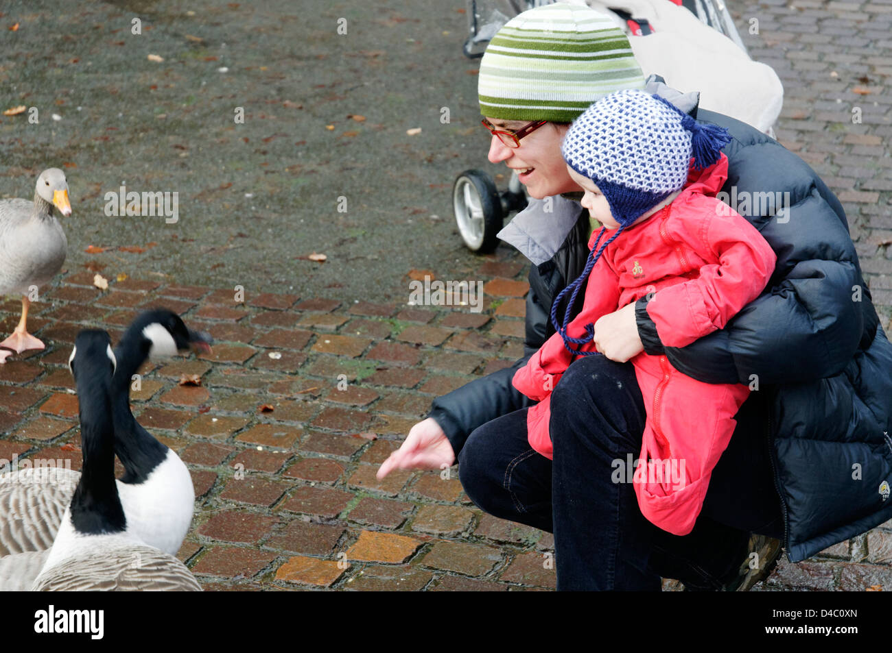 Mere Et Bebe Oies Banque D Image Et Photos Alamy