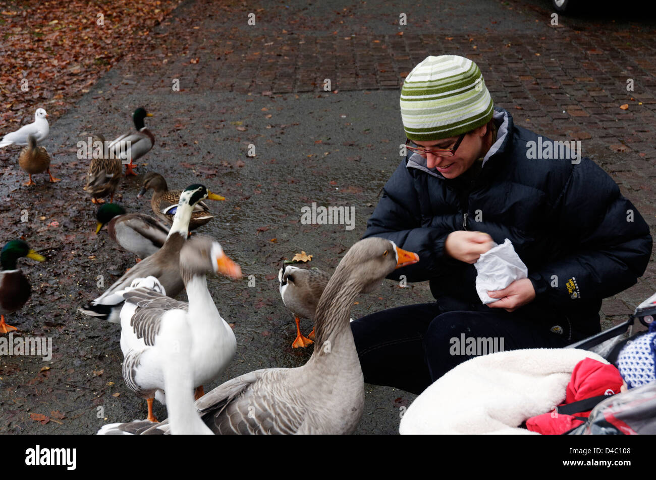 Une Mere Et Son Bebe Nourrir Les Canards Et Oies Photo Stock Alamy