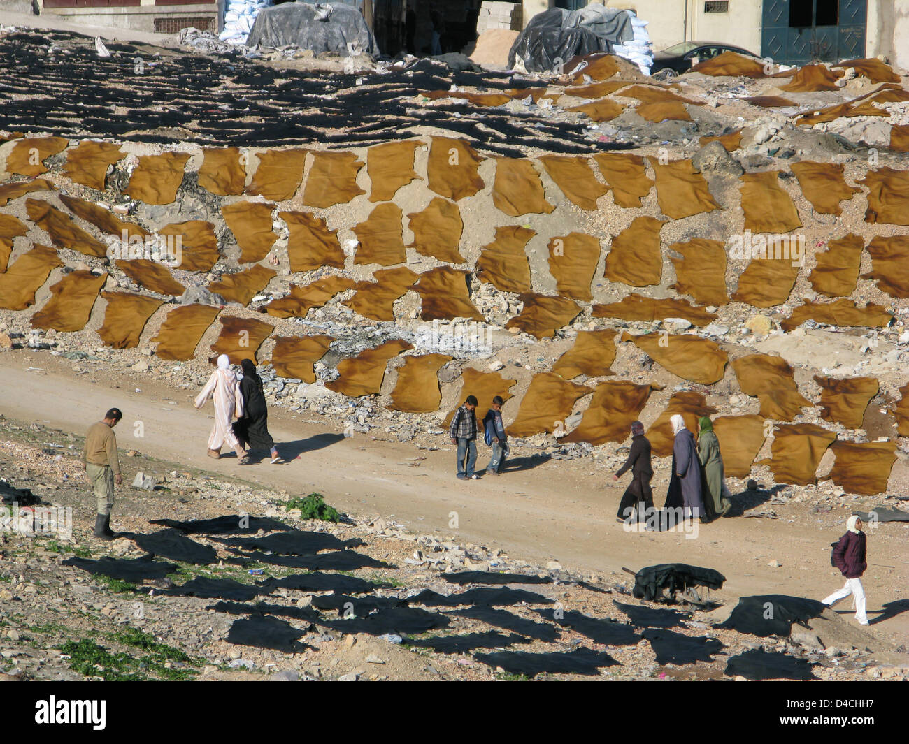 Les peaux d'établir pour le séchage au quartier des tanneurs de Fès, Maroc, le 15 décembre 2007. Photo : Lars Halbauer Banque D'Images