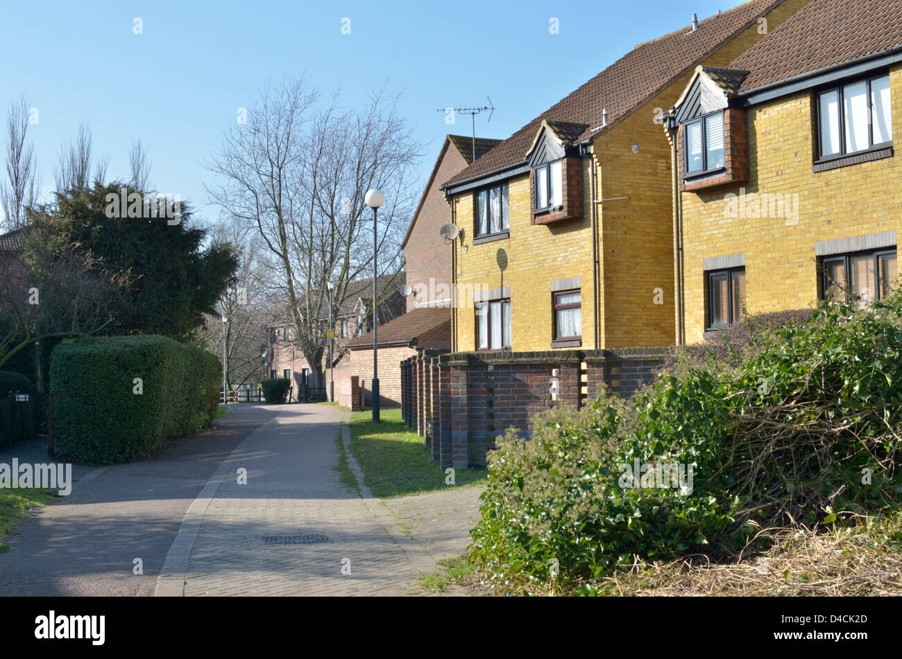 Maisons sur Dame Chemin Dock, Rotherhithe, Londres, Royaume-Uni. Banque D'Images