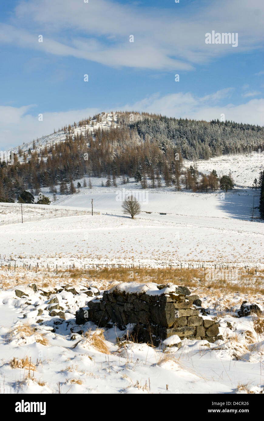 Une vue d'hiver Ben Newe, Glenbuchat Aberdeenshire Banque D'Images