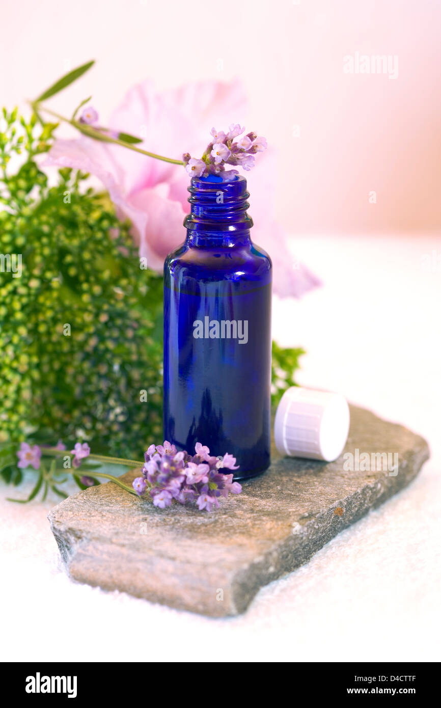 Flacon en verre bleu et lavande et vanille dans un vase de fleurs Banque D'Images