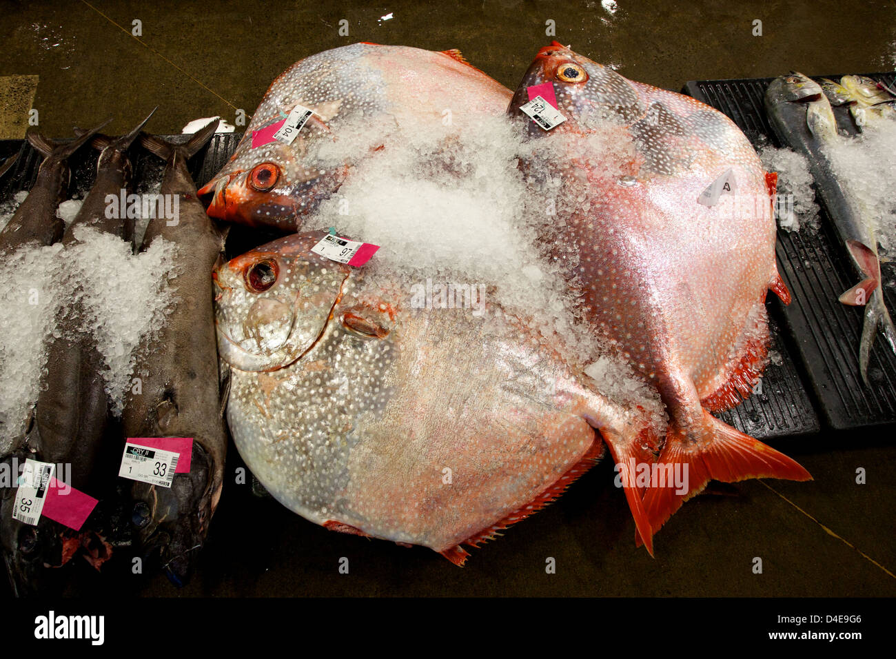 La criée aux poissons du marché et de Honolulu au Quai 38 Banque D'Images