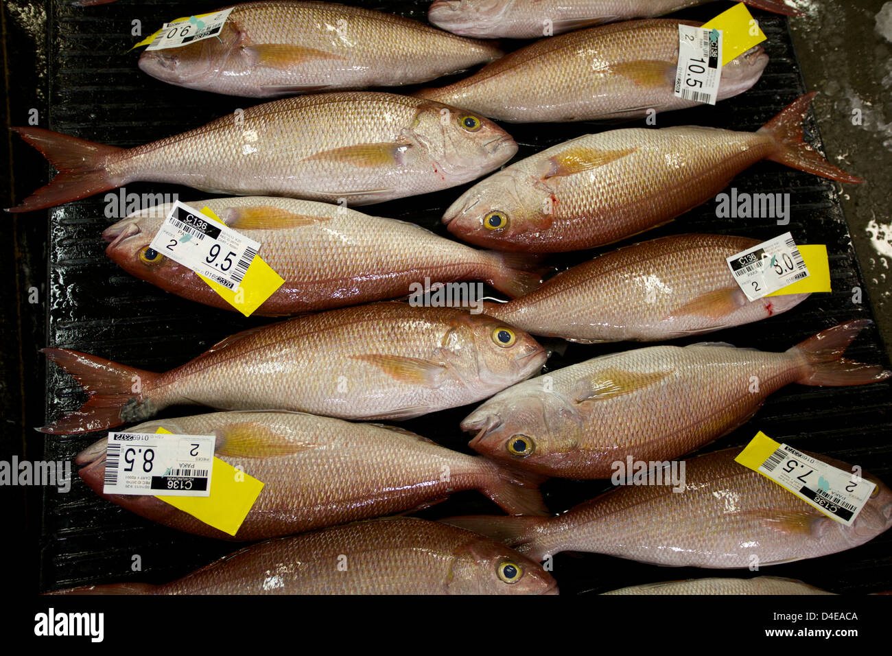 La criée aux poissons du marché et de Honolulu au Quai 38 Banque D'Images