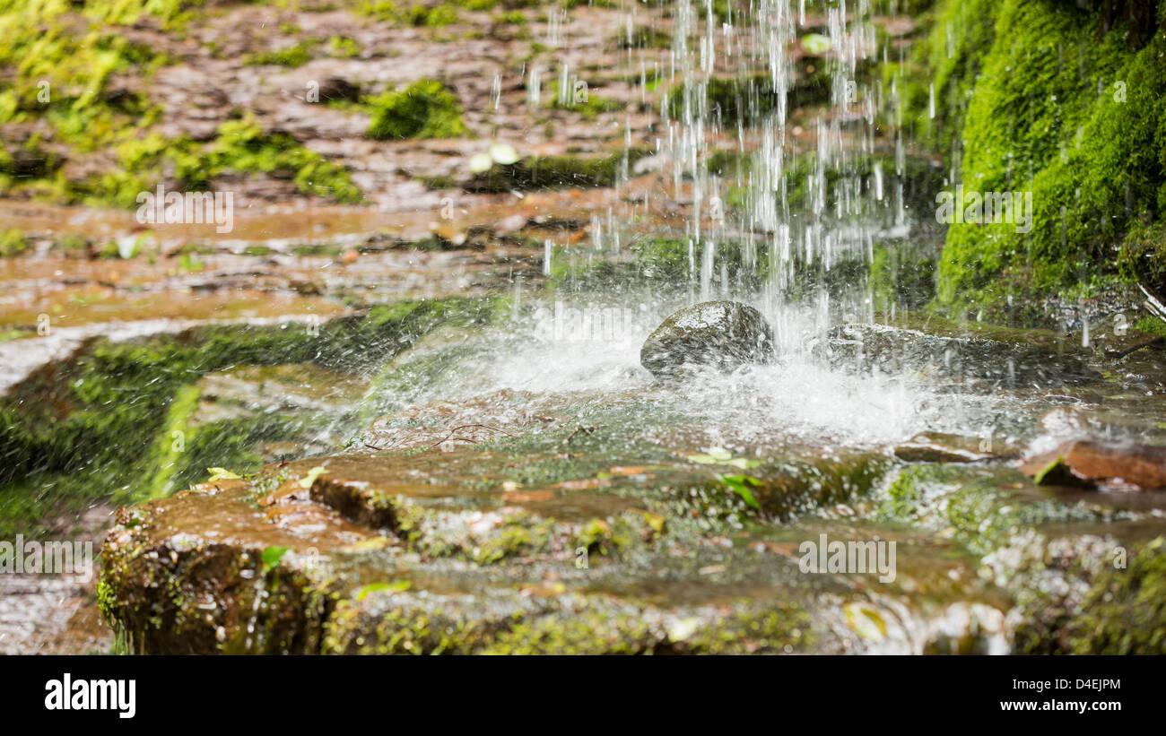 Libre de l'eau tombant au petit round rock dans la région des montagnes Catskill Banque D'Images