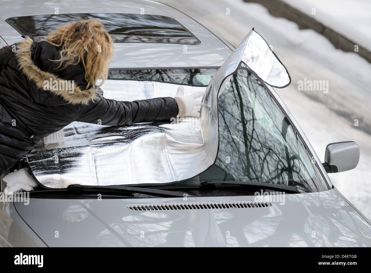 Une femme met une bache antigel sur le pare-brise d'une voiture Photo Stock  - Alamy